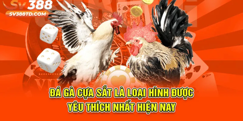 Bí Quyết Chơi Đá Gà Cựa Sắt