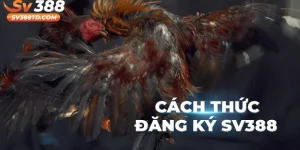 Hướng Dẫn Đăng Ký SV388
