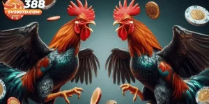 Luật Đá Gà Miền Nam